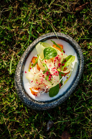 Fresh fennel and colorful veggies make a vibrant salad atop a dark surface.の写真素材