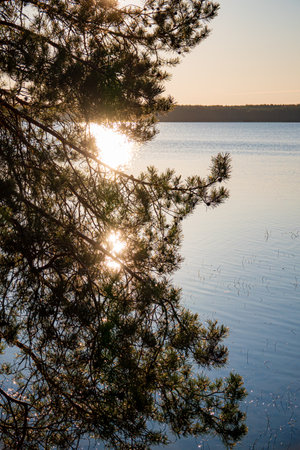 Golden rays reflect on the calm lake surface as trees frame the peaceful view during sunset.の写真素材