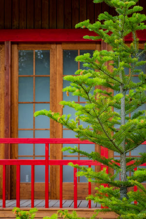 Lush green foliage grows beside a rustic wooden entrance, framed by bold red accents.の写真素材