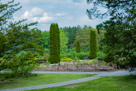 Tall trees and trimmed shrubs surround a tranquil garden with inviting benches.の写真素材