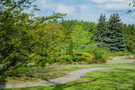 Landscape view of a beautiful landscaped garden in springtime.の写真素材