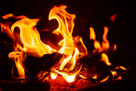 Flames flicker on a black backdrop, creating a mesmerizing display of heat and light.