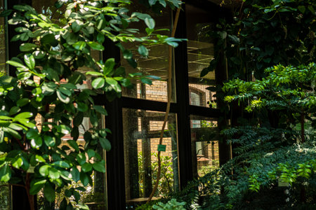Lush greenery surrounds a serene indoor garden, inviting sunlight and creating a calming atmosphere.