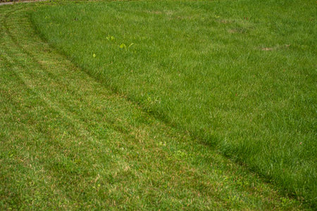 Lush green grass shows precise mowing lines under a clear blue sky, capturing tranquility of nature.の写真素材