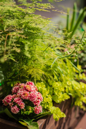 Colorful blooms and assorted greenery create an inviting oasis in a tranquil outdoor garden.の写真素材