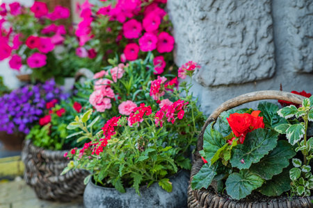 Colorful flowers in baskets bring life to a textured stone backdrop.の写真素材