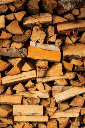 Piles of neatly stacked firewood await use, perfect for heating a rustic cabin in winter.