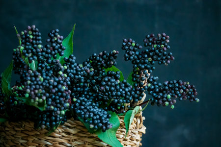 Delicate dark berries nestled in a handwoven basket create a stunning natural display.