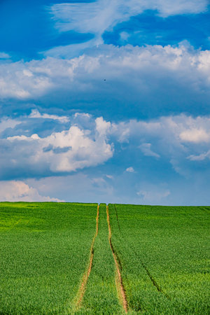 Clear blue skies stretch over lush green fields, marked by winding paths leading into the distance.
