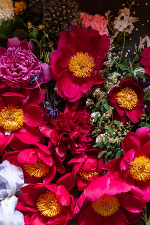 Colorful peonies and wildflowers unite in a lovely spring arrangement.の写真素材