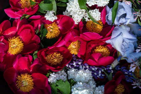 Colorful flowers make a vibrant spring arrangement full of life and freshness.