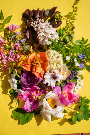 A vibrant array of flowers, displaying unique shapes against a cheerful yellow background.