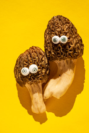 Two funny morel mushrooms with googly eyes stand against a bright yellow backdrop.の写真素材