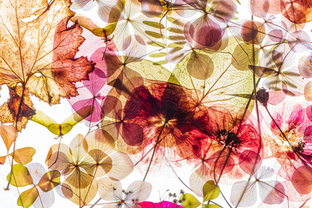 A vibrant mix of flowers and leaves layer and overlap, showing translucent color on white.