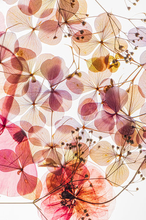A stunning display of pressed flowers in shades of pink, yellow, and purple shows nature's artistry.