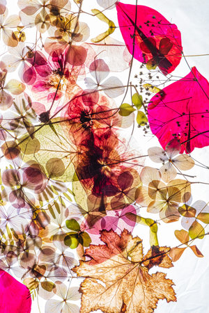 Colorful leaves and flowers overlap in a stunning arrangement, showcasing nature's beauty in autumn.