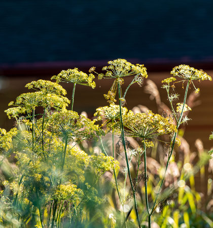 Lush green and yellow flowers flourish in the gentle breeze under a clear sky.