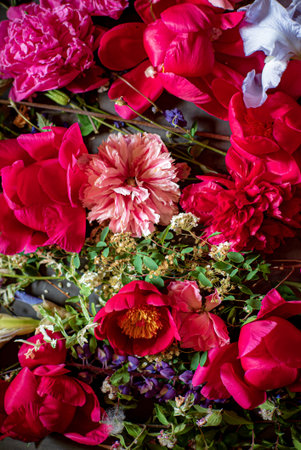 A vibrant mix of flowers showcases their beauty and invites creativity.の写真素材