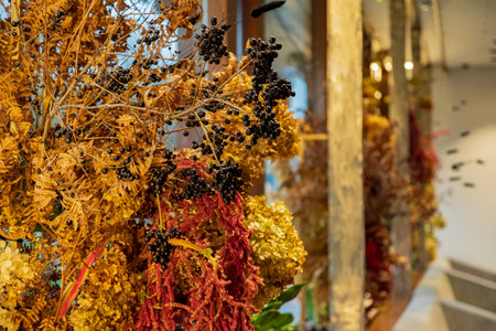 A vibrant display of dried flowers brightens a modern wall, adding a warm ambiance.の写真素材