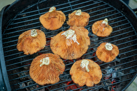 Fresh wild mushrooms sizzle on a grill, releasing savory aromas on a warm summer day.の写真素材