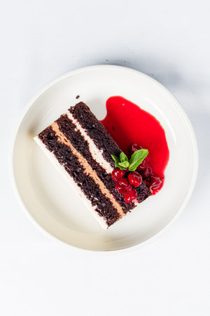 A luscious slice of chocolate cake sits on a plate, adorned with berry sauce and fresh mint.の写真素材