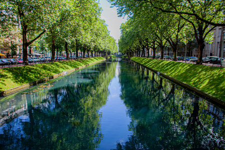 Tall trees line a peaceful canal, their reflections sparkling in clear blue waters under the sun.の写真素材