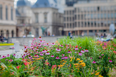Colorful flowers flourish in a lively park, creating a cheerful atmosphere against a city backdrop.の写真素材