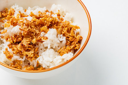 A bowl showcases fluffy white rice generously garnished with crispy fried onions.の写真素材