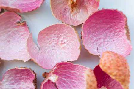 Soft pink petals lie scattered, showcasing their fragile texture and vibrant color in natural light.の写真素材