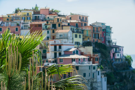 Charming pastel buildings rise on cliffs above the sparkling sea, framed by swaying palm leaves.