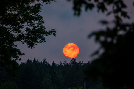 The sun sets in brilliant orange, casting a warm glow over the darkening trees and quiet landscape.