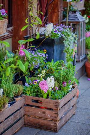 Vibrant flower boxes with blooms brighten the welcoming vibe of a busy street.の写真素材