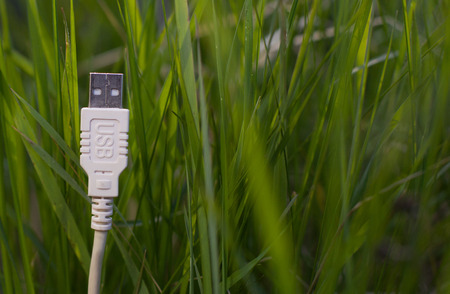 White USB cable on grass - green technologyの写真素材