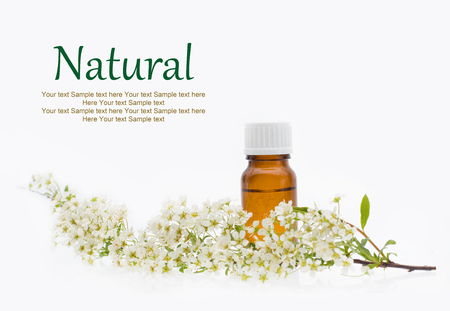 Natural cosmetics - oil, herbalの写真素材