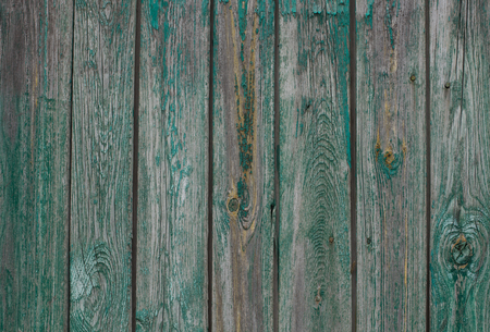 Old Wood Background Texture > Old wooden background with green paint. の写真素材