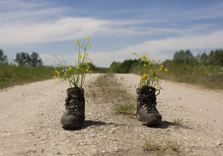 Shoes and flowers on the roadの写真素材