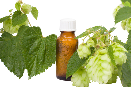 Natural Medicine - geen hops & brown bottle. Alternative medicine, brown bottles & hops.の写真素材