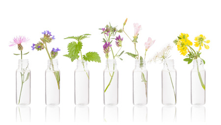Bottles of essential oil with fresh herbs. Bottle herbs on white. Bach's FLORITHERAPY.の写真素材