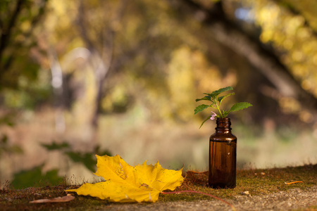 Bach flower remedies - aromatherapy, bottle. Essential oil and medical flowers herbs.の写真素材