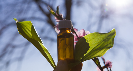 Natural organic herbal essence in a glass bottle.Bottle with essential oil - bach therapy.の写真素材