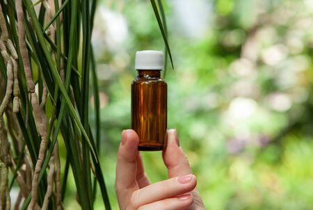 Essential aroma oil - spa scene with natural cosmetics. Little bottle of essential oil.の写真素材