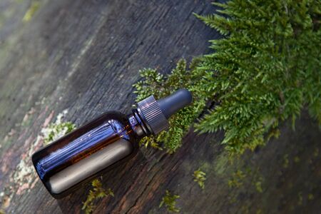 Flatlay - fresh herbal cosmetics. A bottle of fresh essential oil.の写真素材