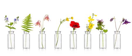 Natural remedies, bottle - bach.  Bottles of essential oil with herbs holy flower.の写真素材
