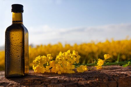 Organic rapeseed oil - space for text. Bottle with fresh oil on the background of the field.の写真素材