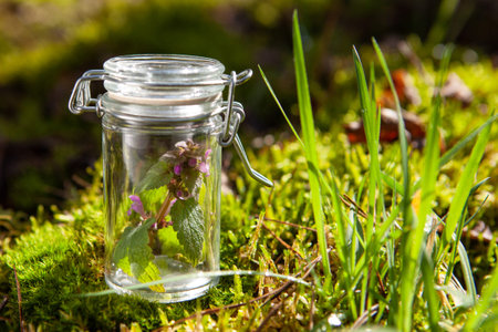 Flower extract treatment - BACH therapy.