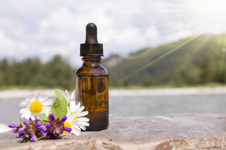Composition with chamomile flowers and cosmetic bottle of essential oil.の写真素材