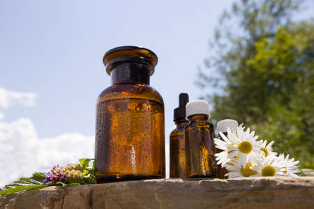 Selection of essential oils, with herbs and flowers in the background.の写真素材