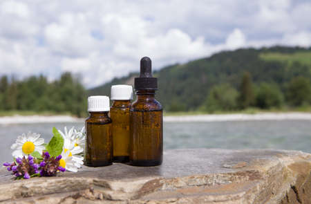 Flowers and bottles of essential oils for aromatherapy.の写真素材