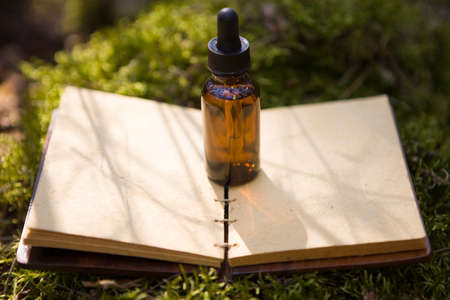 Essential oil bottles, medicinal herbs, old book.の写真素材