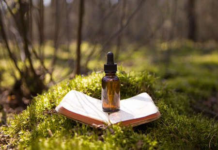Traditional medicine with plants and book on the table.の写真素材